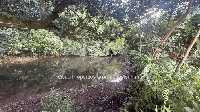 20,466sqm Prime Agricultural Land for Sale in L'Escalier - Rs