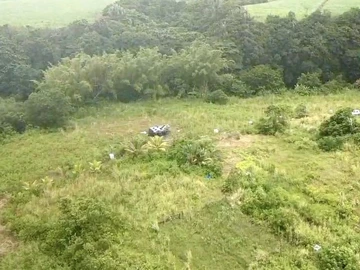 Agricultural Land