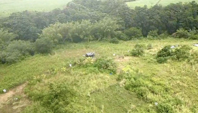 20,466sqm Prime Agricultural Land for Sale in L'Escalier - Rs