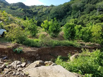 Terrain Agricole