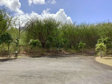Residential Land