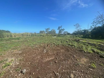 Land