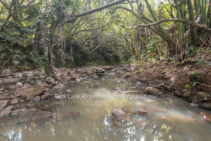 Beautiful Plot Surrounded by Nature next to River
