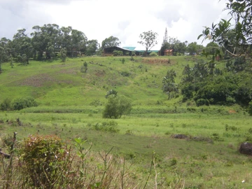 Terrain Commercial