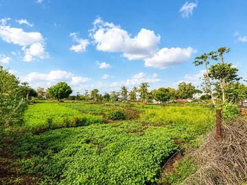 Residential Land