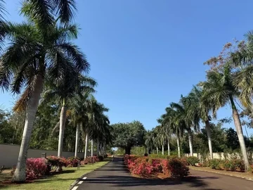 Villa de 3 Chambres