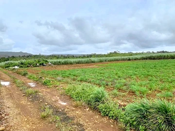 Agricultural Land