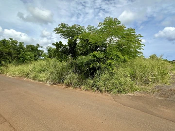Terrain