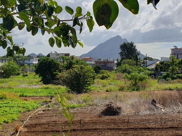 Residential Land