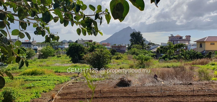 Freehold Residential & Commercial Land for Sale – Solferino No 5, Vacoas 