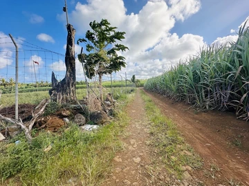 Terrain Agricole