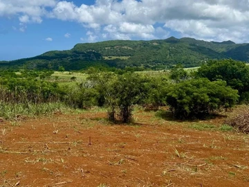 Terrain