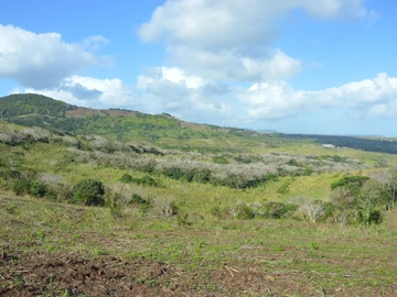 Agricultural Land