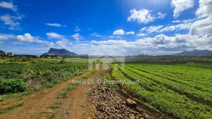 Terrain agricole - 8442m2 - Phoenix - Ref. TE94305VE
