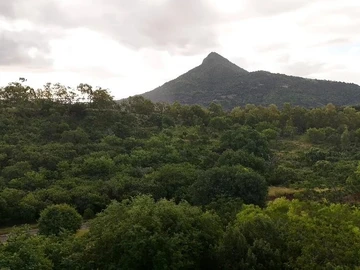 Land