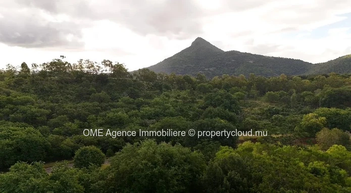 PETITE RIVIERE NOIRE - Magnifique terrain avec vue sur les montagnes