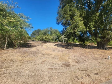 Residential Land