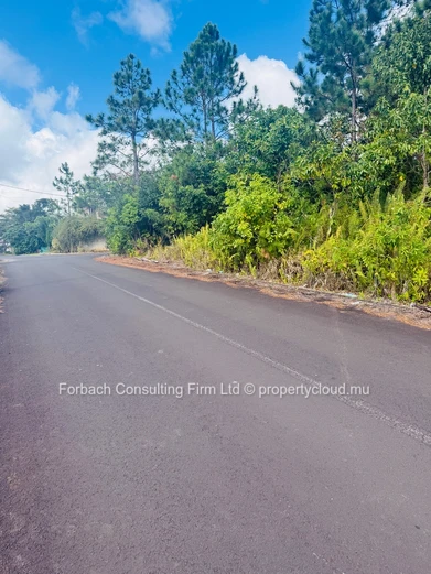 Prime Residential Plot in Morcellement - Les Résidences Pinewood Garden, Wooton