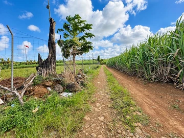 Agricultural Land