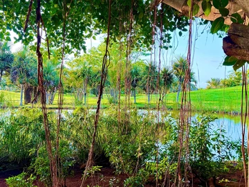 Residential Land