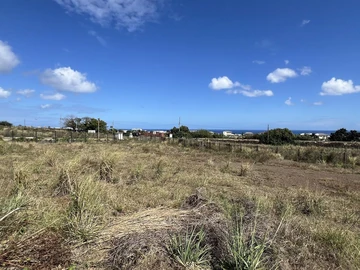 Terrain