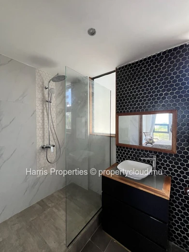 À VENDRE – 2 Duplex avec Accès Rooftop de Type Penthouse – Bain Boeuf