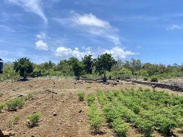 Agricultural Land