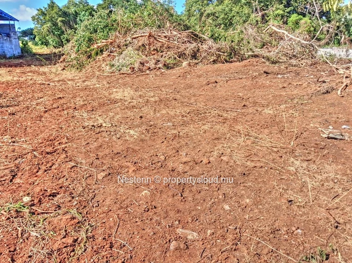 Rare Terrain De 2 935,8 M² À Pamplemousses