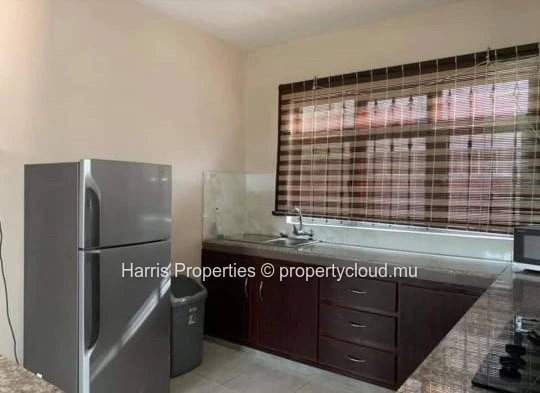Modern house for rent in Trou aux Biches 