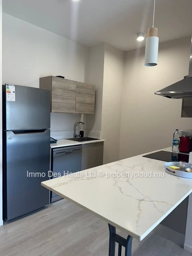 2-bedroom Apartment fully furnished for rent Moka 