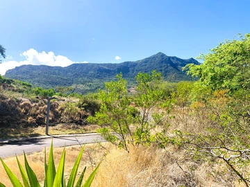 Residential Land