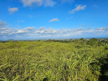 Agricultural Land