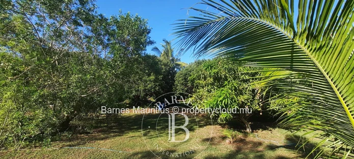 Foret Daruty-  Terrain A Vendre