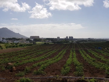 Terrain Agricole