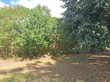 Terrain Agricole