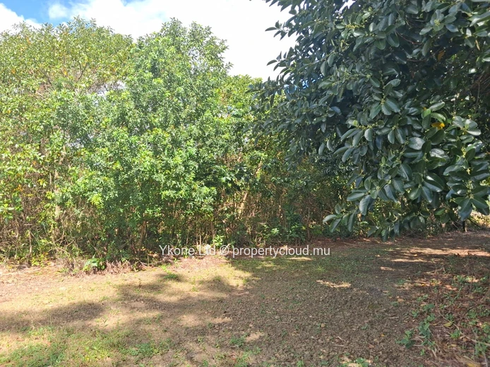 Terrain Agricole En Vente À Mare D'albert