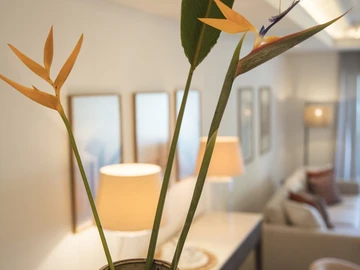 Appartement de 2 Chambres