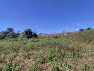Agricultural Land