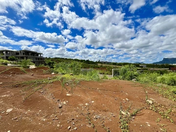 Terrain
