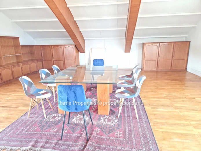 Penthouse Polyvalent / Espace De Bureau À Vendre