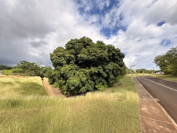 Residential Land