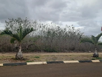 Residential Land