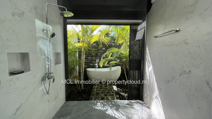 Spacious house and garden