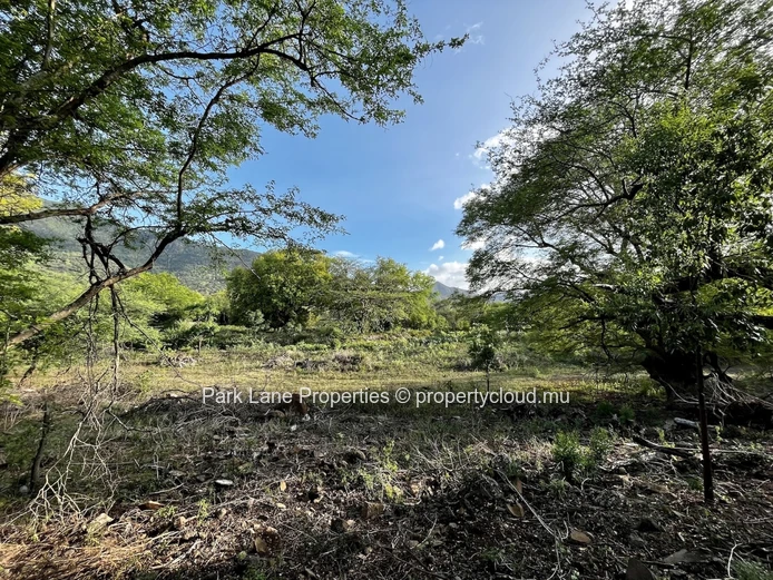For Sale – 1,438 m² Residential Plot in Les Riverains, Petite Rivière Noire