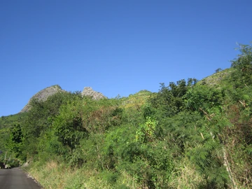 Land