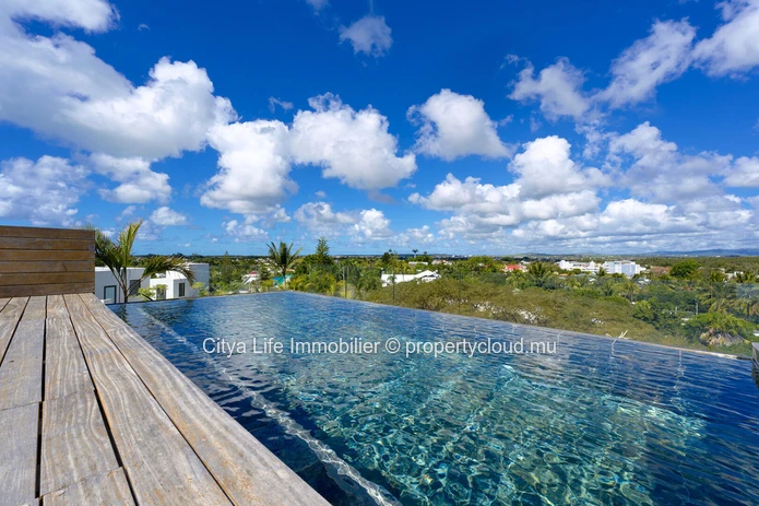 Luxury PDS Apartment with private pool in Pointe aux Canonniers