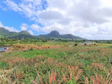 Agricultural Land for Sale – 233 Perche(s), Long Mountain, North
