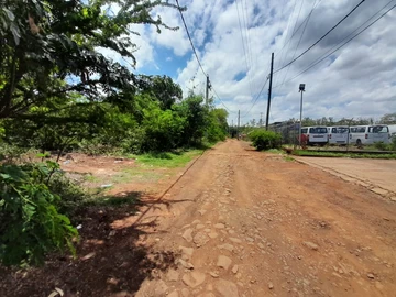 Terrain