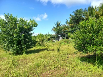 Agricultural Land