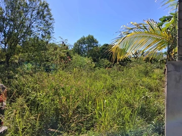 Terrain